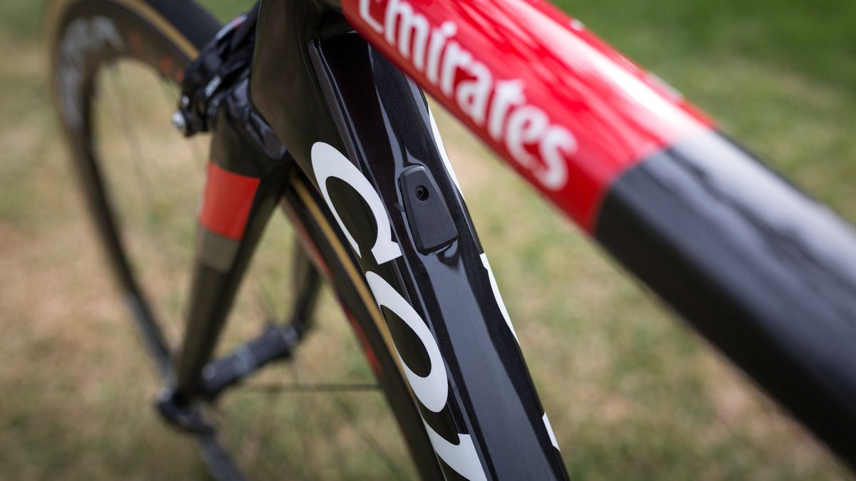A port on the down tube allows internal cable routing if desired