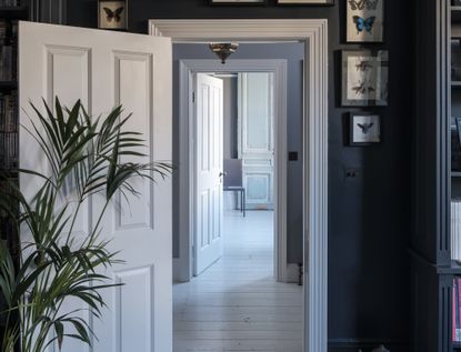 Interior enfilade, view of a series of doors lined up with dark blue walls and white doors