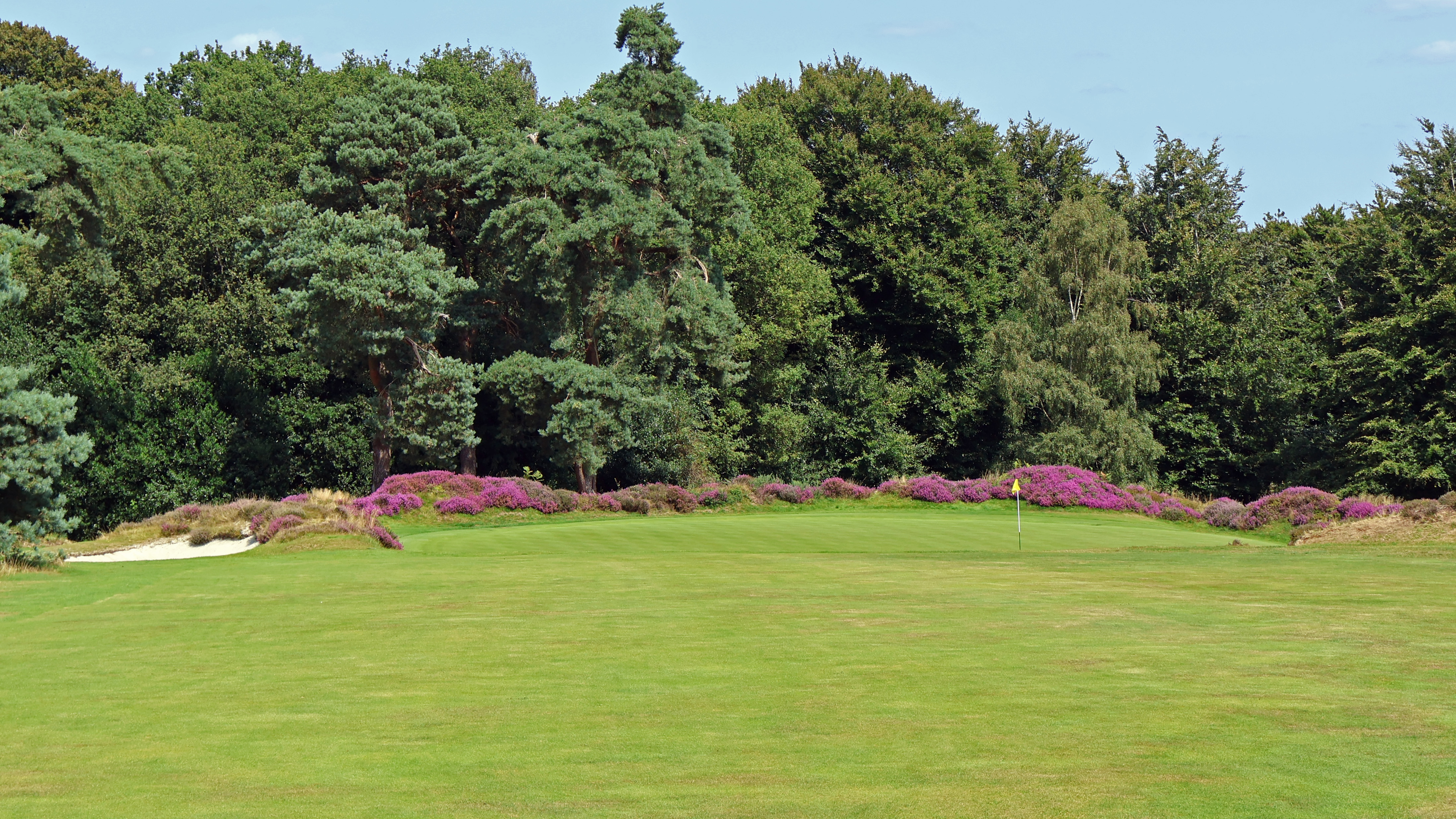Hindhead - Hole 12