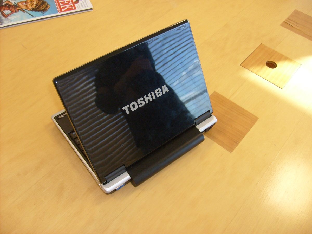 Toshiba NB100 Netbook