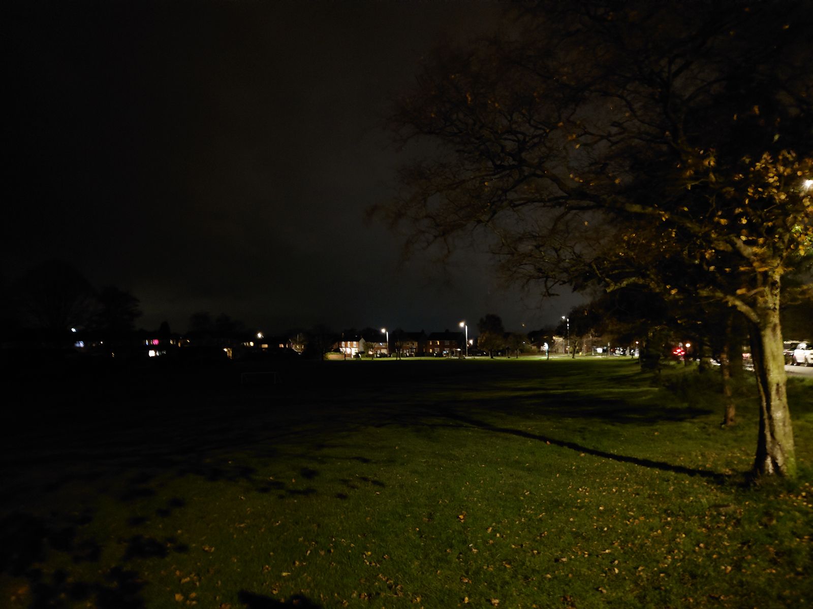 Sony Xperia 5 II camera sample