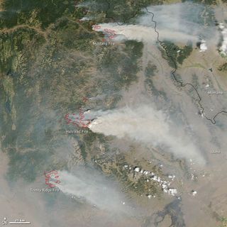 NASA's Aqua satellite captured an image of three major wildfires in Idaho on Aug. 14. 