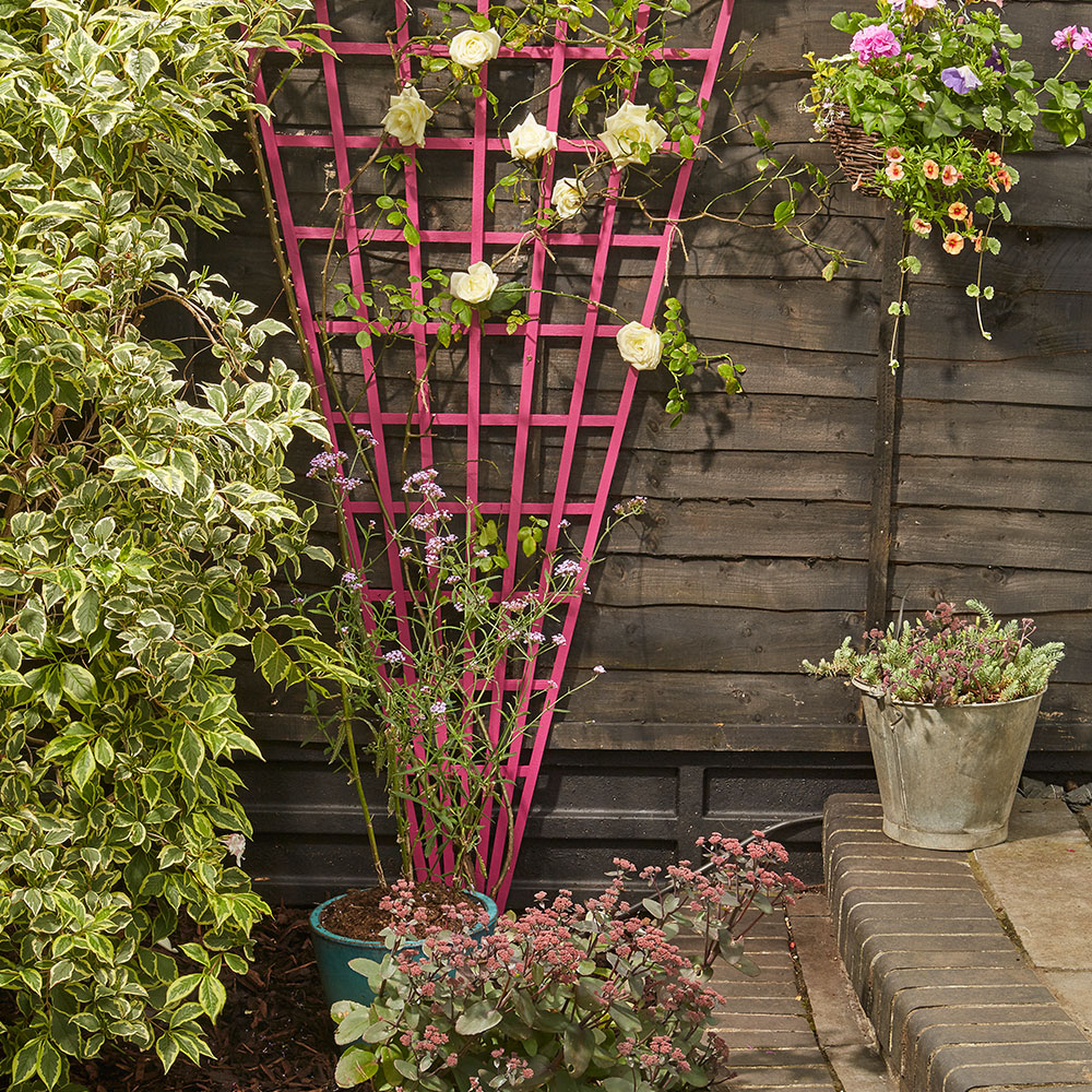 garden with pink and white flowering plant wooden fencing and potted plants