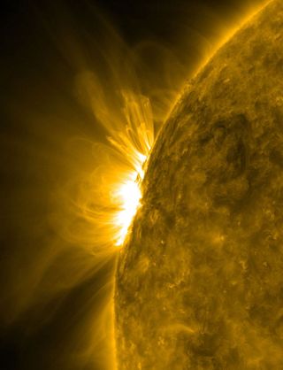 Magnetic Loops Photographed Erupting From the Sun