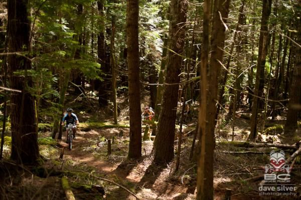 Riders enjoyed wooded singletrack at the BC Bike Race