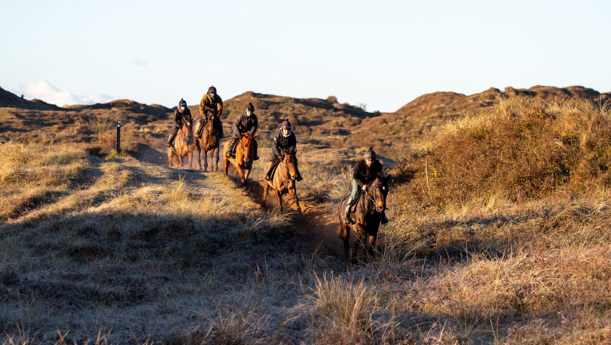 Horses canter over the dunes at Christian Williams yard