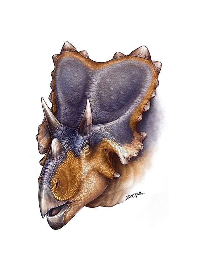 This artist reconstruction reveals the horned dinosaur &lt;em&gt;Mercuriceratops Gemini&lt;/em&gt;, a new species of horned dinosaur that sported winglike ornamentation on the sides of its skull.