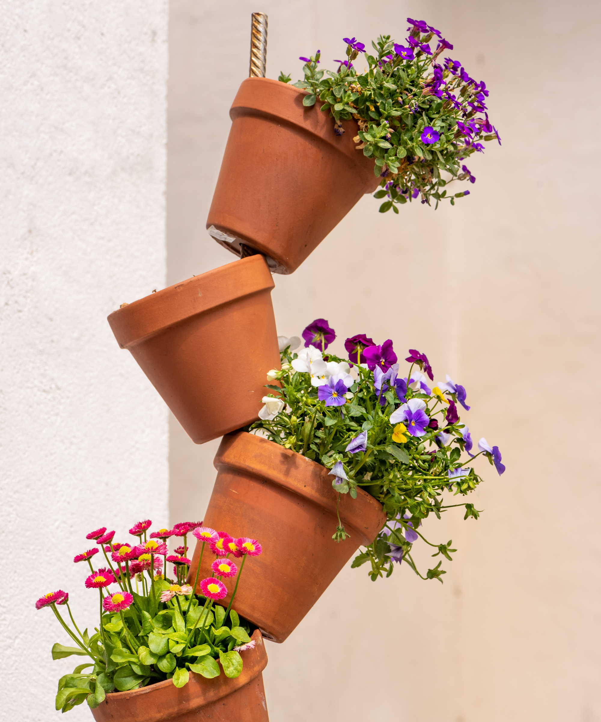 planted colorful flowerpots stacked as decoration in front of a white wall as background