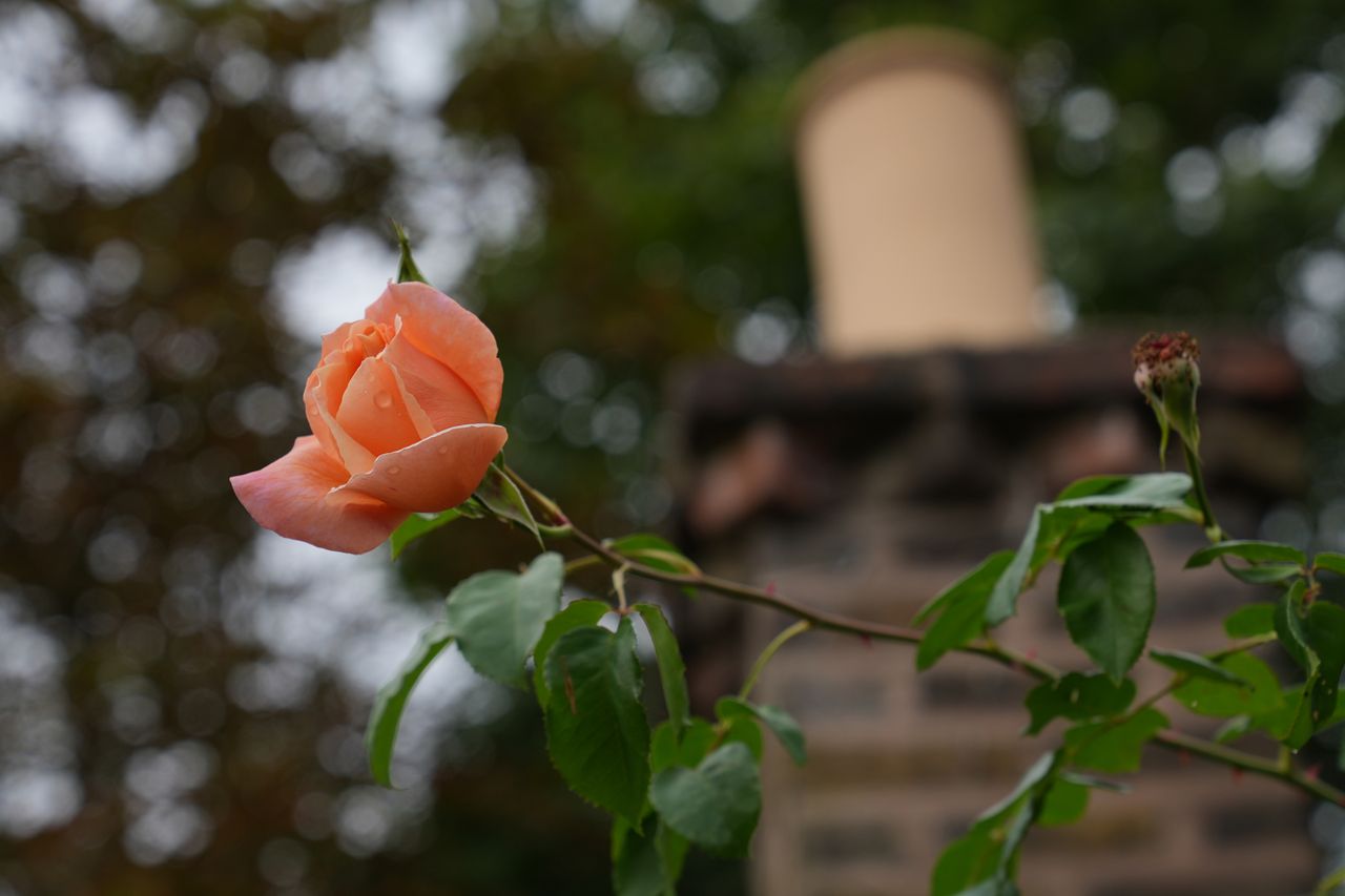 Sample photo taken in London on the Sony A7 IV camera