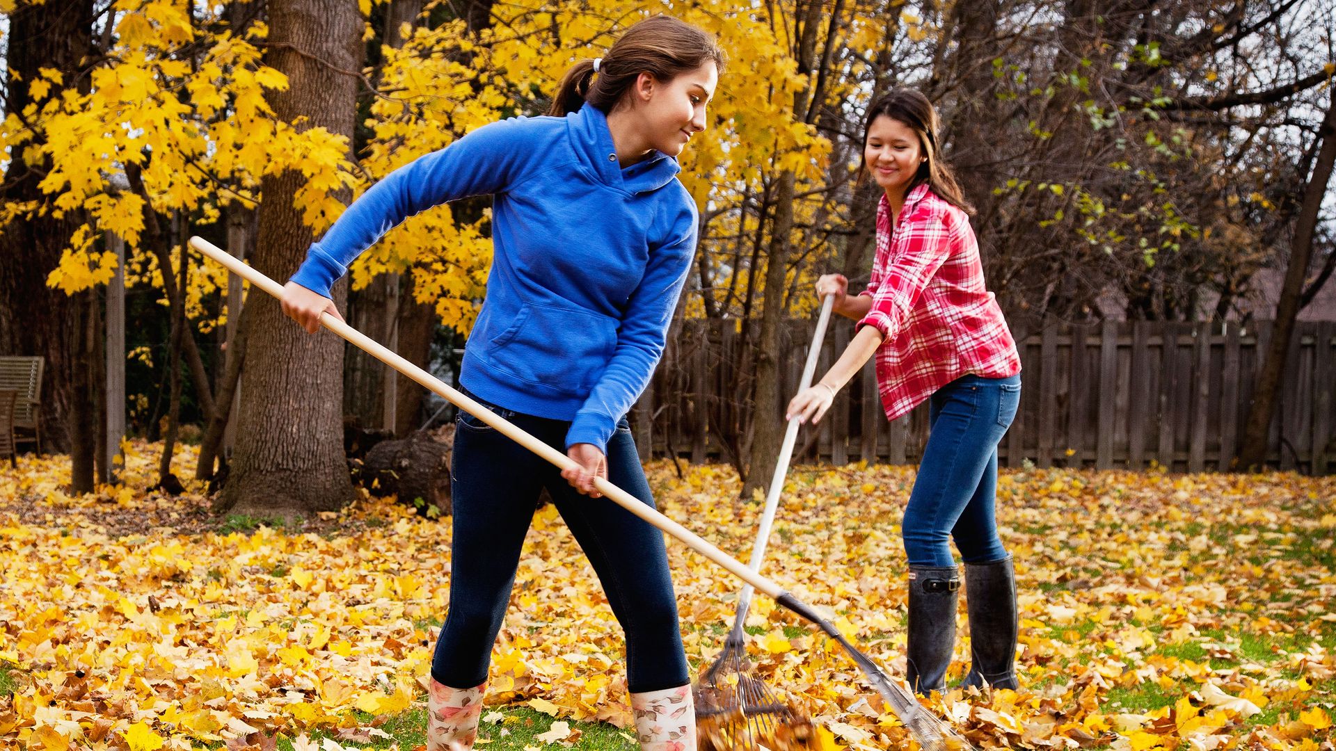 Rake up