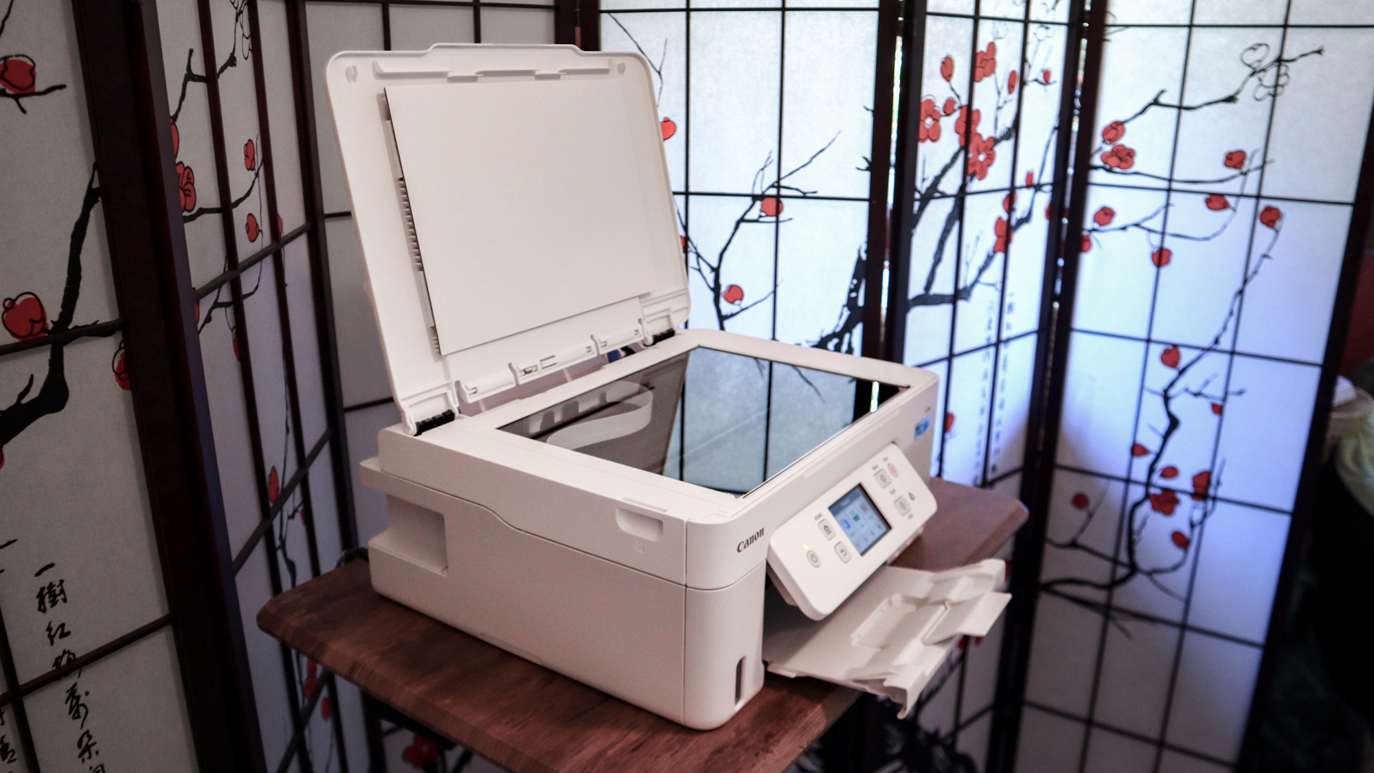 Canon MegaTank Pixma G3290 review unit in action