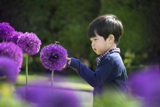 how to design a child friendly garden: small boy with bee on alliums