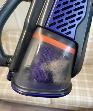 Black+Decker dustbuster furbuster AdvanceClean+ Pet handheld vacuum dustbin with pet hair inside, in Bristol Animal Rescue Centre