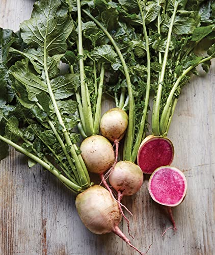 Burpee Watermelon Radish Seeds 300 Seeds