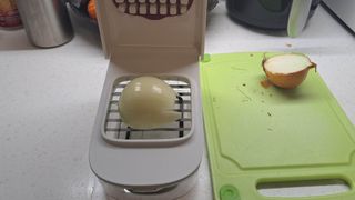 Cut onion in food chopper