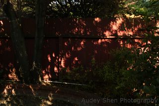 Partial solar eclipse shadows cast on a backyard fence as seen by skywatcher Audey Shen of Palo Alto, Calif., on May 20, 2012.