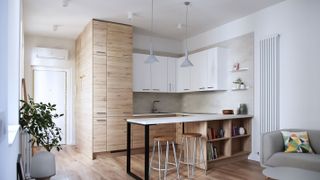 tall white vertical radiator in the kitchen with a breakfast bar