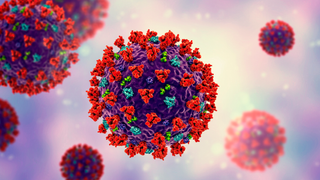 Illustration of coronavirus particles. Coronaviruses are a group of viruses named for their appearance under electron microscopy, where their round-tipped surface spikes make them resemble a crown. 