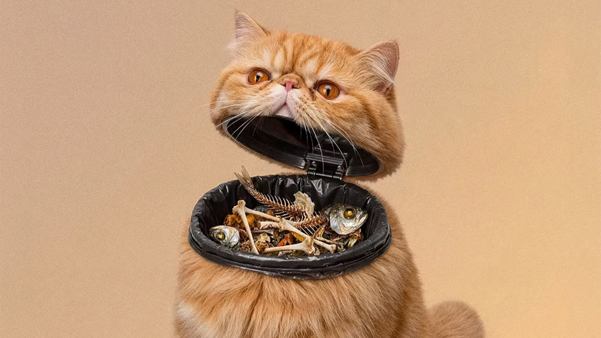 Pet PSA poster featuring a cat-bin hybrid