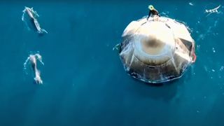 overhead show of a white space capsule floating in the ocean with two dolphins swimming nearby