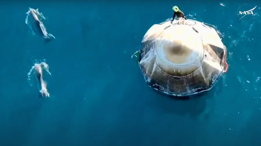 Dolphins swim near the SpaceX Crew-9 capsule Freedom shortly after it splashed down on March 18, 2025.