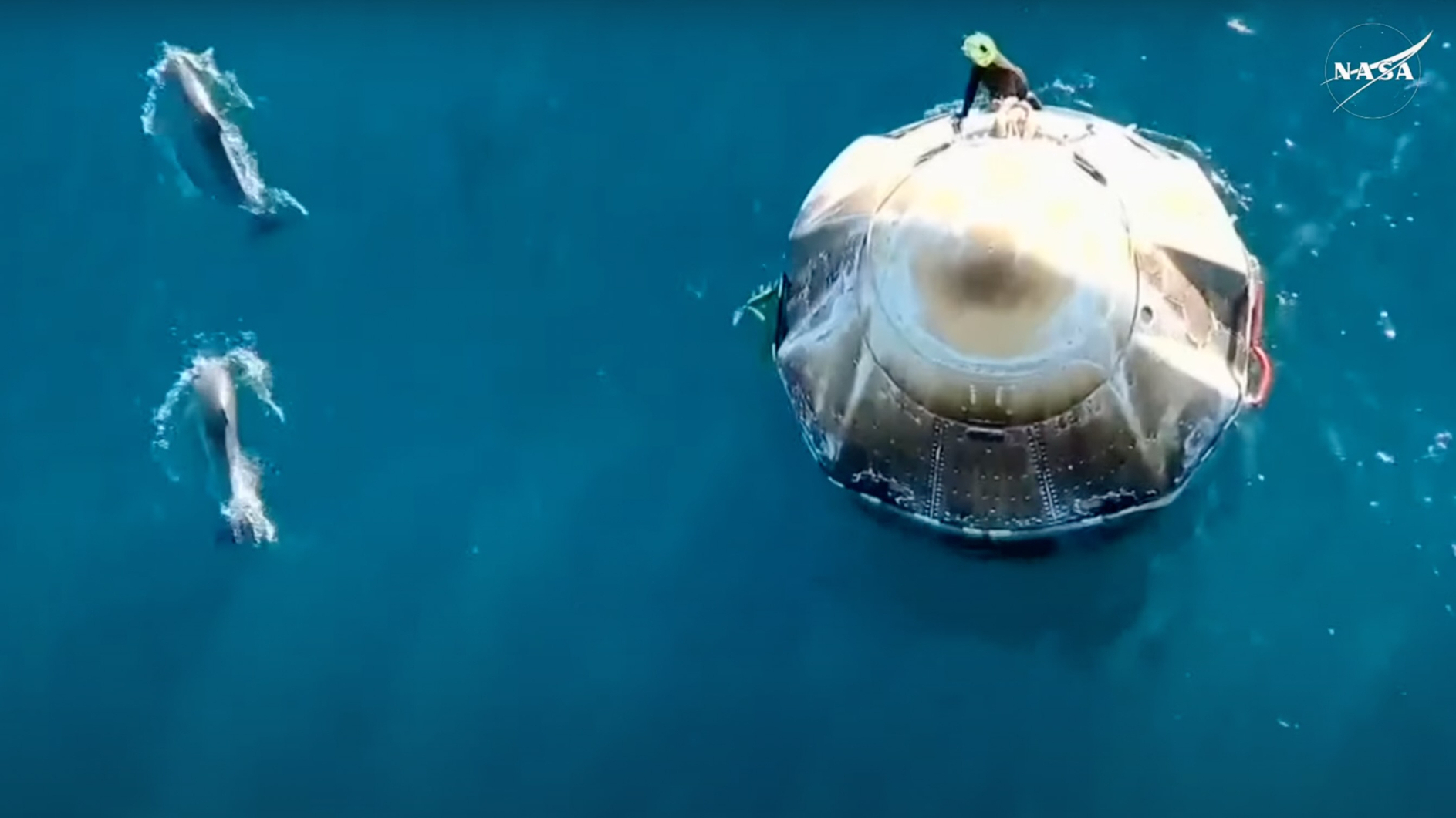 overhead show of a white space capsule floating in the ocean with two dolphins swimming nearby