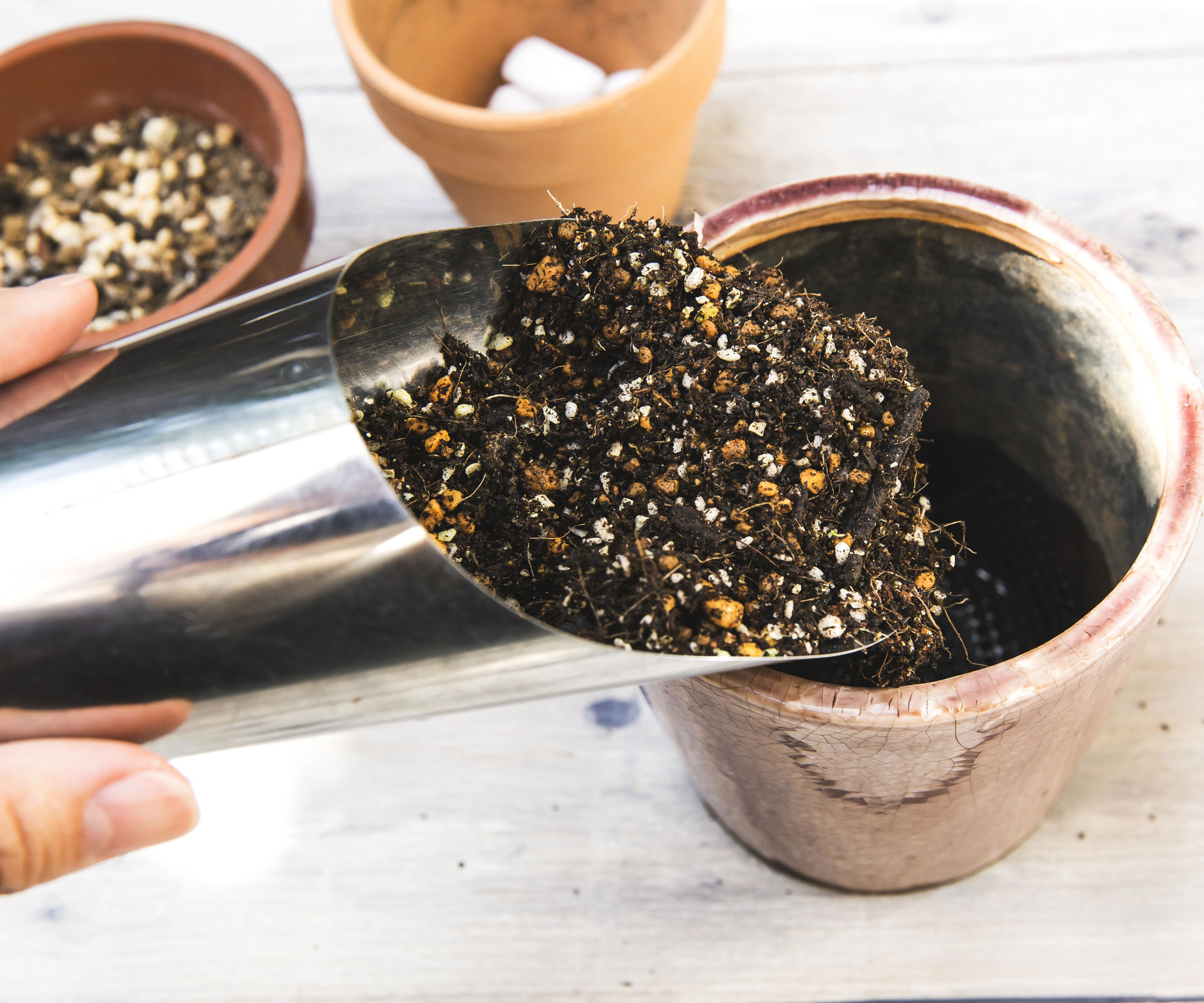 filling plant pots with custom compost and cork bits