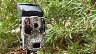 Trail cameras 