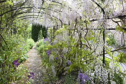 Arbours, pergolas and gazebos – what’s the difference? | Gardeningetc