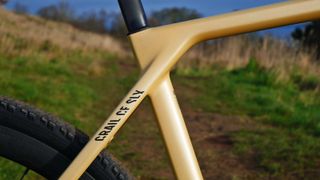 Canyon Grail CF SLX 8 seatstay detail