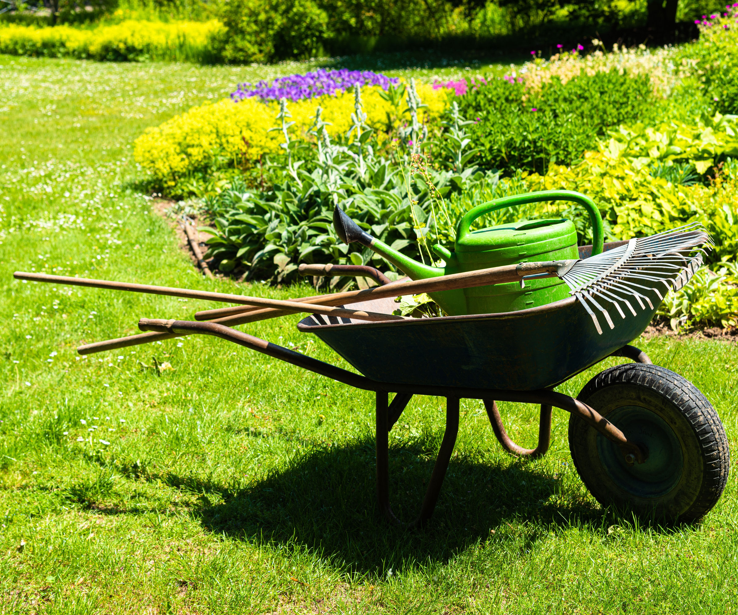 wheelbarrow, rake and garden tools on lawn