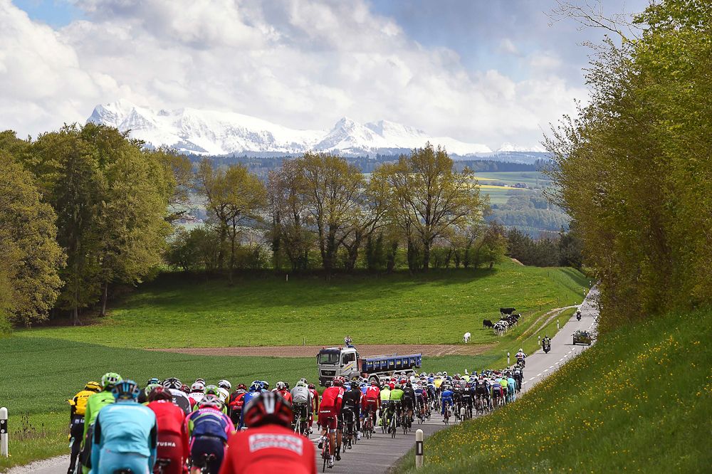 The peloton in action during stage 4 at the Tour de Romandie