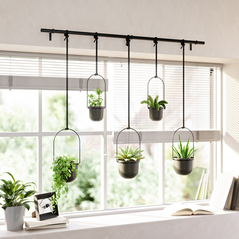 Umbra Triflora Hanging Planter, Adjustable Ropes With Rod, Set of 5 &amp;amp; Reviews | Wayfair