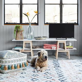 Brown dog lying in a fluffy rug beside a console table with two shelves below a window in a grey wall