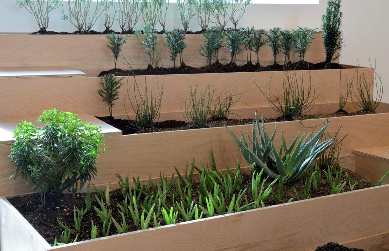 Tiered wooden panels with plants inside