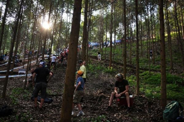 Crowds lined the forest of Pietermaritzburg.