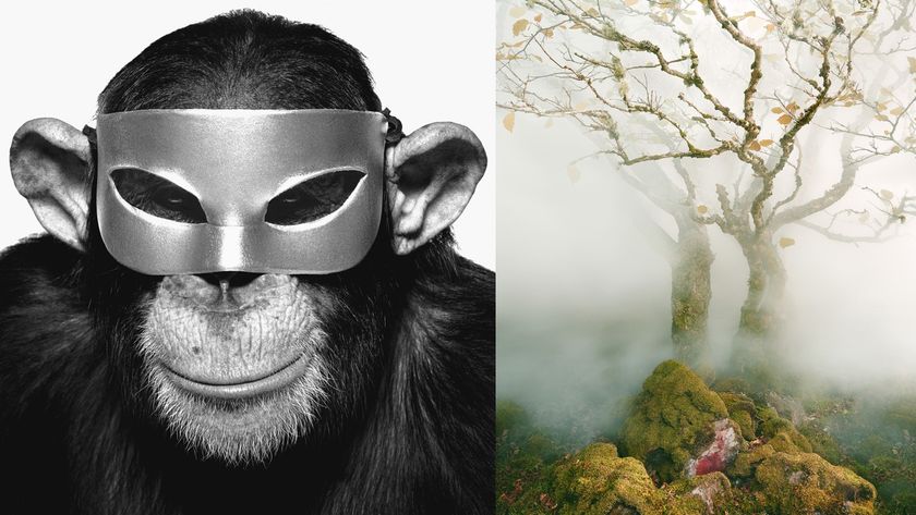 A composite image featuring a black and white close-up of a chimpanzee wearing a silver mask on the left, and a color image of a mossy, gnarled tree shrouded in fog on the right.