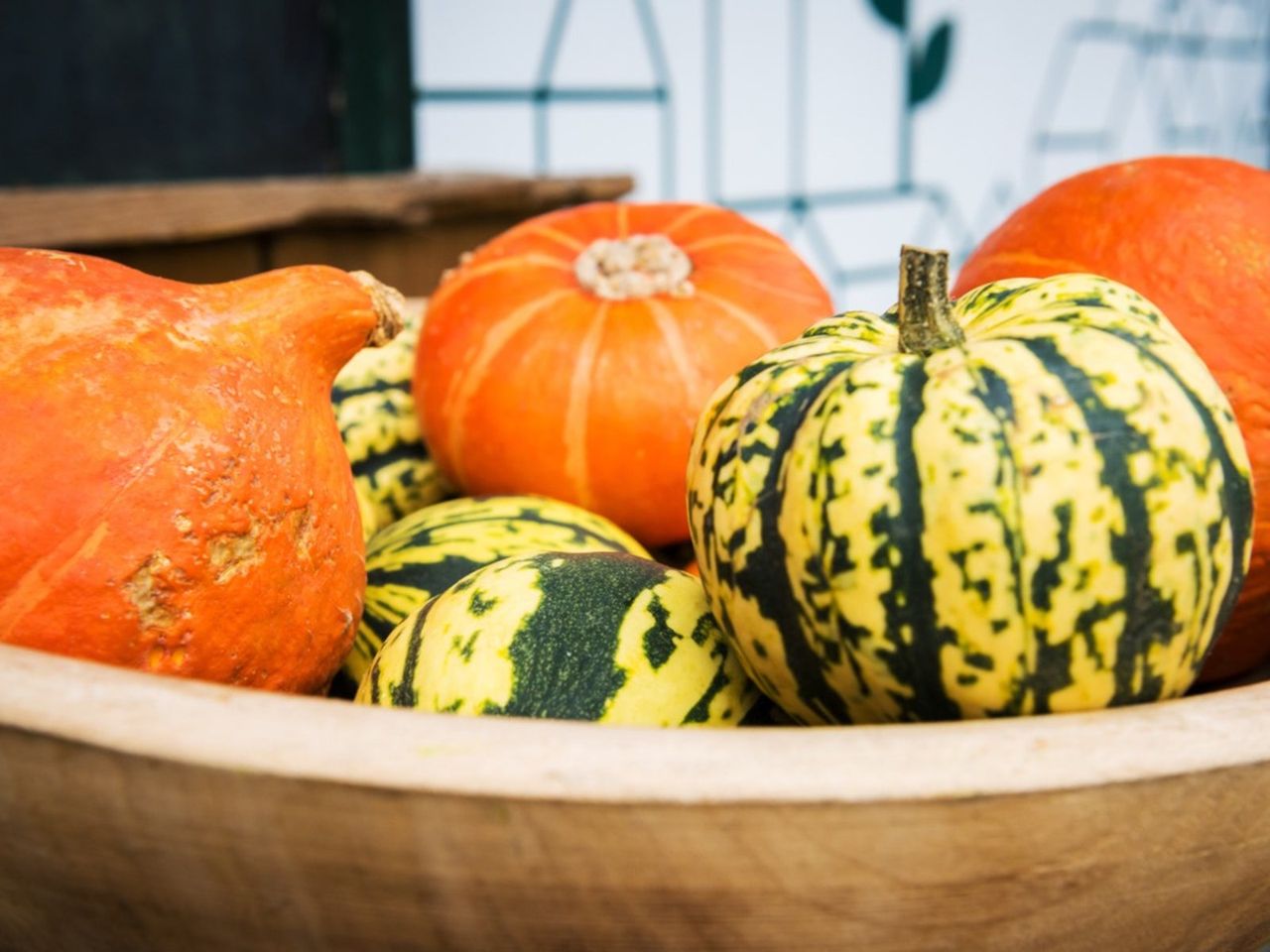 Bowl Full Of Different Types Of Squash