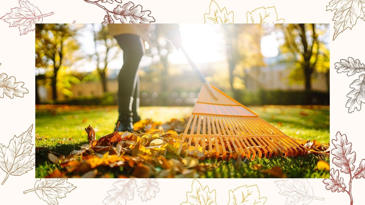 Experts reveal 6 winter lawn care tips for healthier grass | Woman & Home
