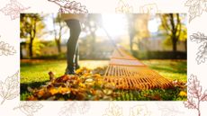 Person collecting autumn leaves with a rake as an essential winter lawn care job