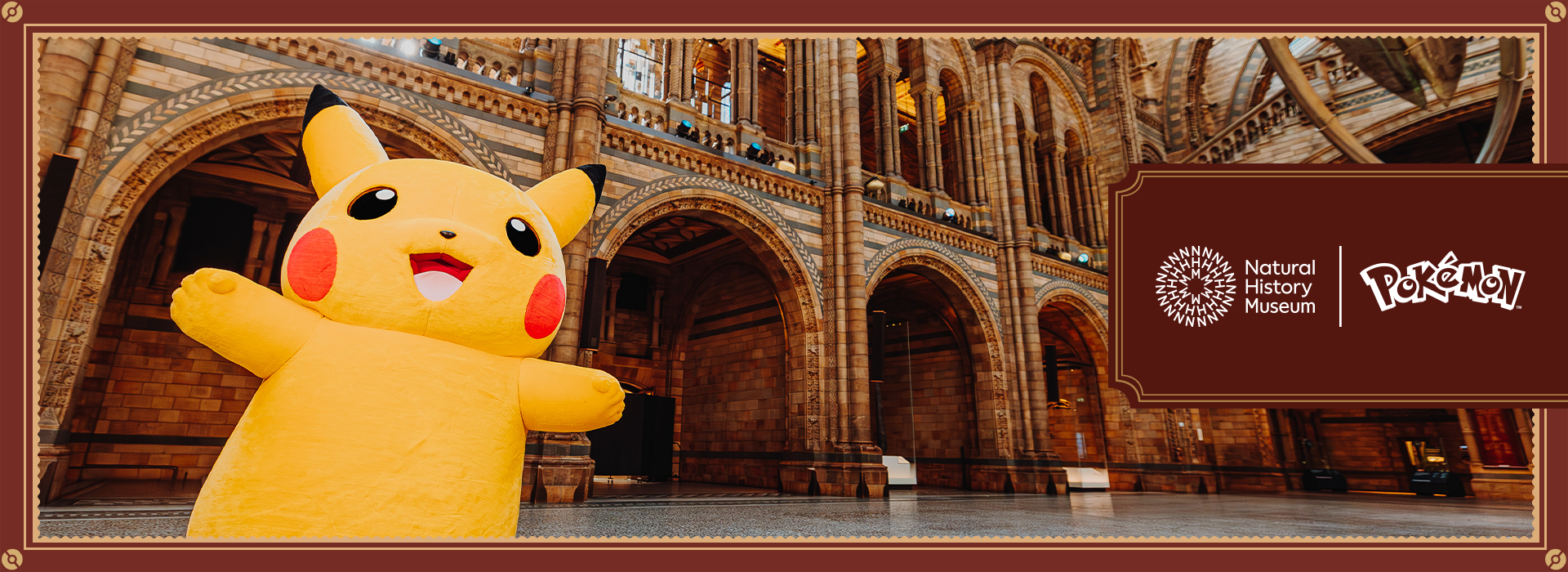 Pok&amp;eacute;mon x Natural History Museum