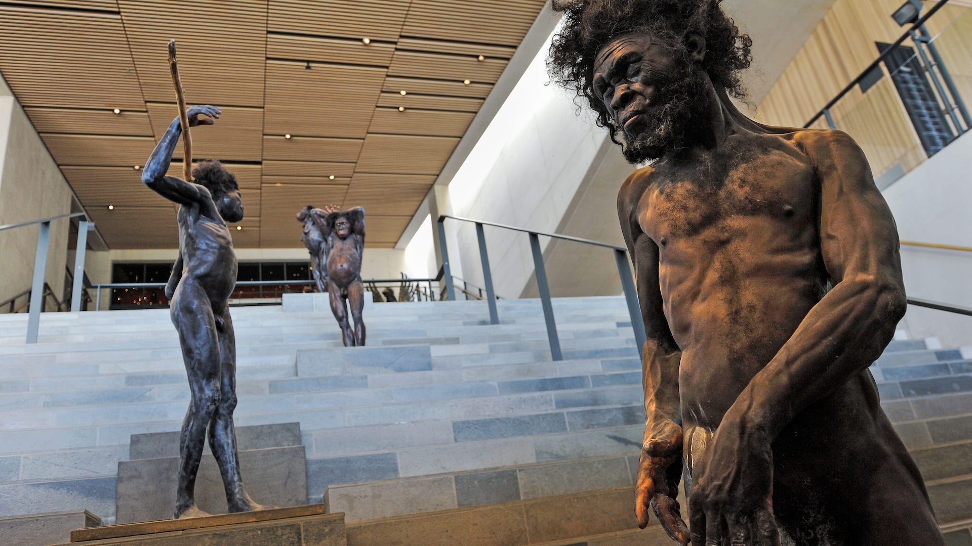 A series of reconstructed ancient humans grace the stairs of a museum