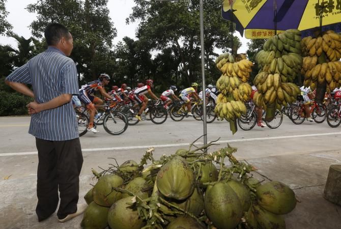 Some fruit anyone? Anyone? They never stop to shop.