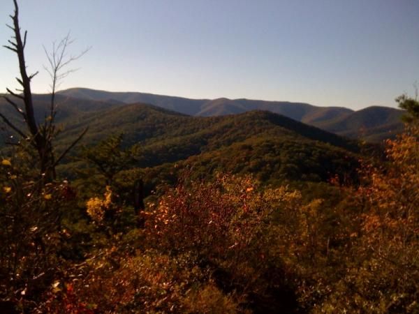 A typical view enjoyed by racers in the jointly managed Jefferson and George Washington National Forests in Virginia