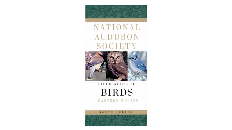 bird books