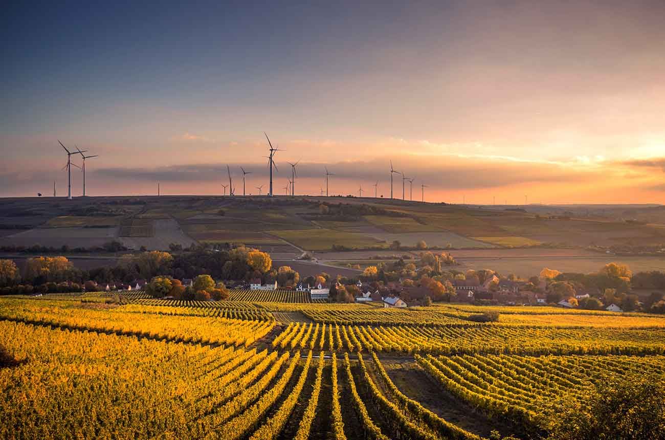 How sustainable is your wine?
