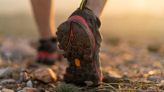 Person's feet wearing hiking shoes