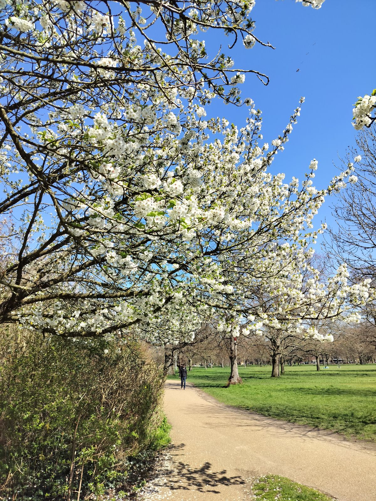 A photo captured on the OnePlus Nord CE 3 Lite 5G