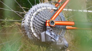e*Thirteen Helix Plus 12-speed cassette fitted to a MTB
