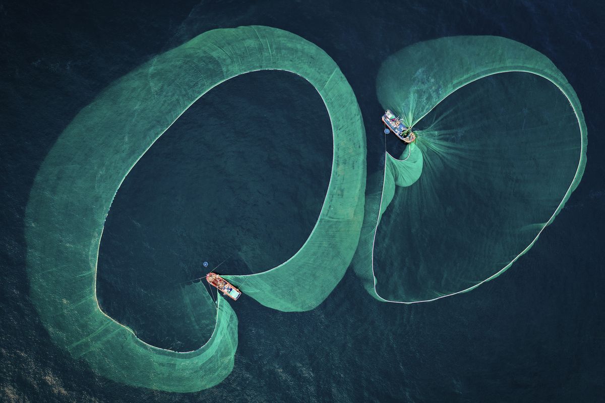 Underwater Photographer of the Year 2022 winning images